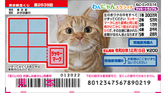 今月の「わんにゃんスクラッチ」はねこ・ミックスと柴犬＆マンチカン♪